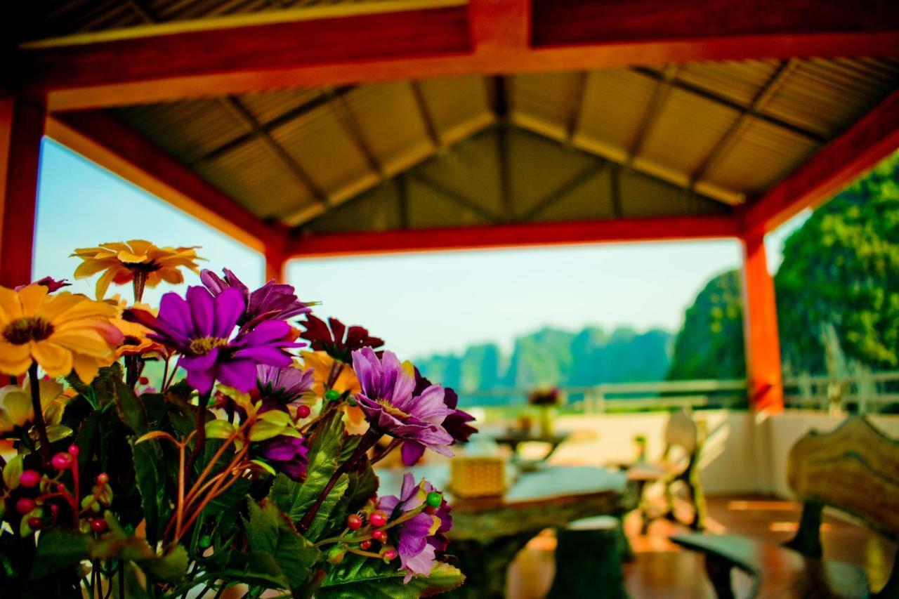 Trang An Mountain View Homestay Ninh Bình Exteriör bild